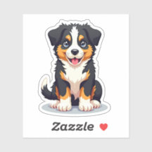 Cudely Australian shepherd, 3D Stollig, Small