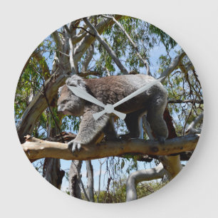 Cudely Big Male Australian Koala Stor Klocka