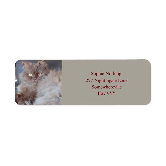 Cudely Cat Return-adressetikett Returadress Etikett (Framsidan)