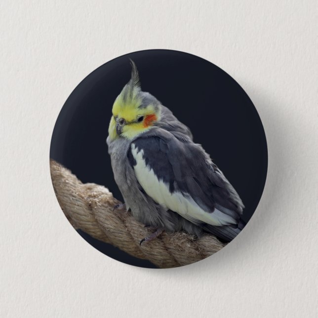 Cudely Cockatiel Badge Knapp (Framsida)