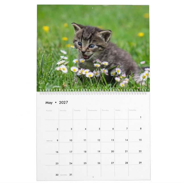 Cudely Cute Kitten Pet Kattunge Kattdjur 2020 Kalender (May 2027)