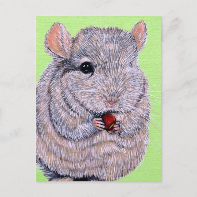 Cudely Nibbling Chinchilla Painting Vykort (Framsida)