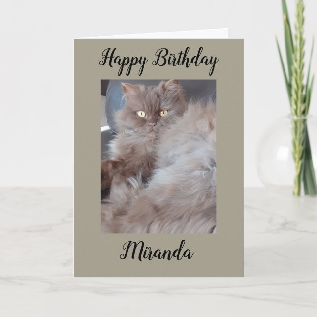 Cudly Cat Birday Card Kort (Framsida)