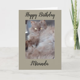 Cudly Cat Birday Card Kort