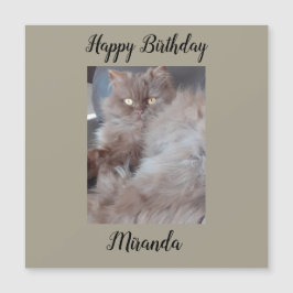 Cudly Cat Magnetic Birthday Card