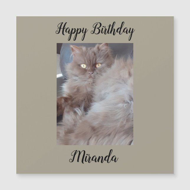Cudly Cat Magnetic Birthday Card (Framsida)