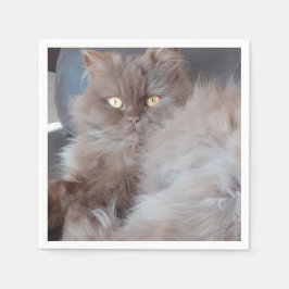 Cudly Cat Pappersservett