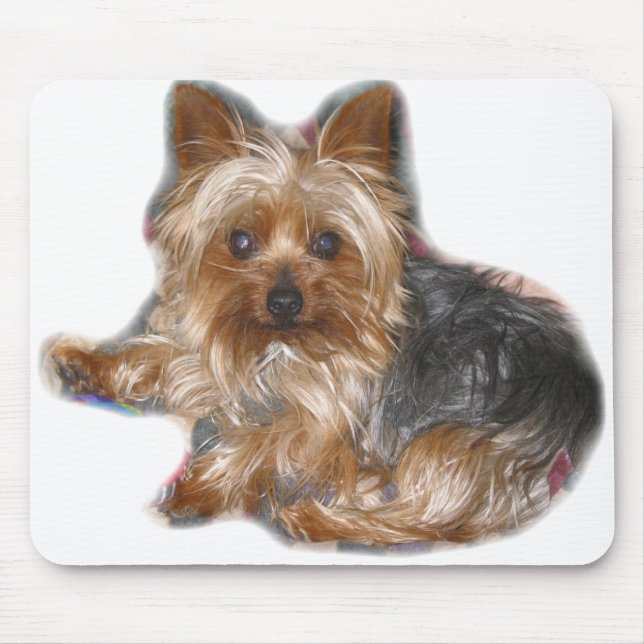 Cujo Mousepad Musmatta (Framsidan)