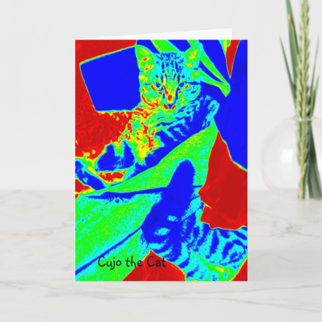 Cujo the Cat Technicolor Helgkort (Framsida)