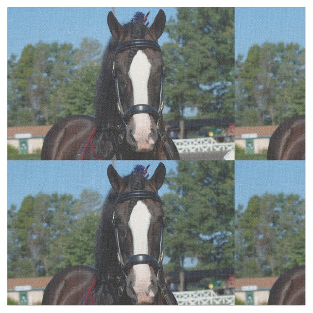 culpeper va formulerar hästshow tyg (Närbild)