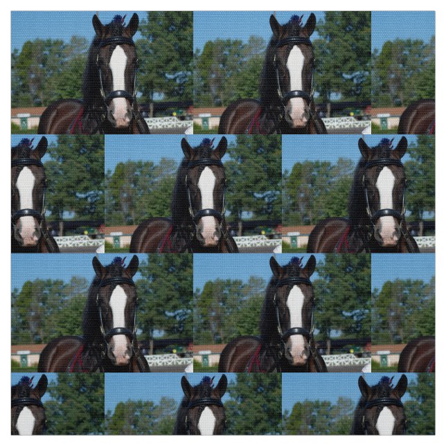 culpeper va formulerar hästshow tyg (Provkarta)