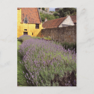 Culross Palace - Front Garden Vykort