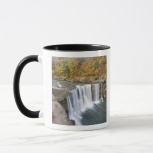 Cumberland Falls State Park nära Corbin Kentucky Mugg