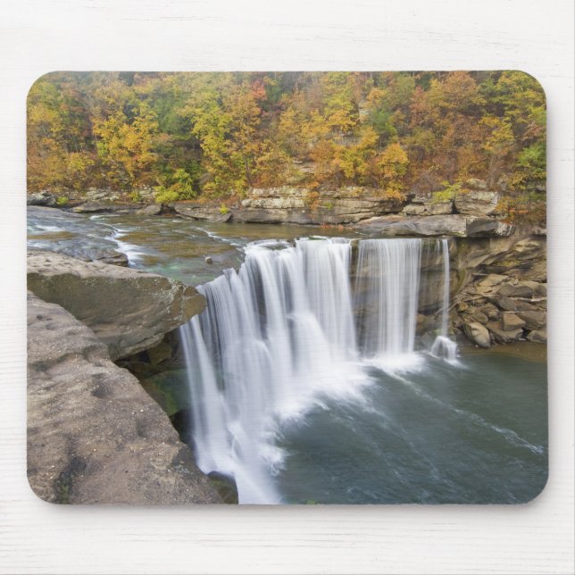 Cumberland Falls State Park nära Corbin Kentucky Musmatta (Framsidan)