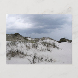 Cumberland Island duns Vykort