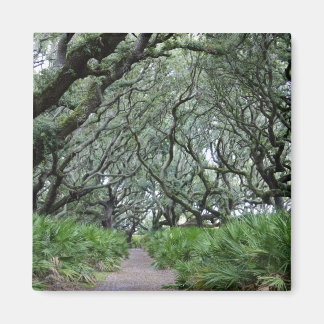 Cumberland Island Magnet