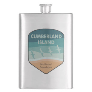 Cumberland Island National Seashore Fiskmåsar Fickplunta