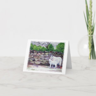 Cumbrian Sheep Art/Thinking of You Kort