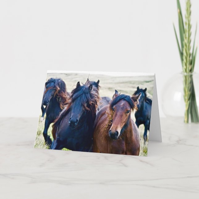 Cumbriska cellponenter kort (Framsida)