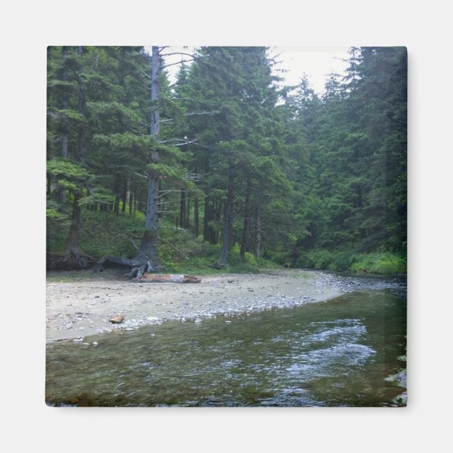 Cummins Bäck i Neptunstaten Park, ELLER Magnet (Framsidan)