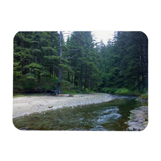 Cummins Bäck i Neptunstaten Park, ELLER Magnet (Horisontell)