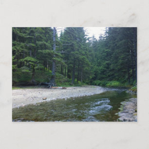 Cummins Bäck i Neptunstaten Park, ELLER Vykort