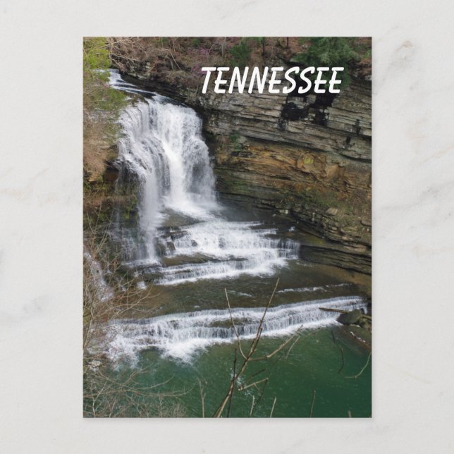 Cummins Waterfall Vykort (Framsida)