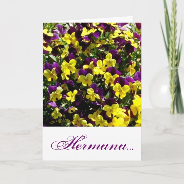 Cumpleaños de la Hermana Kort (Framsida)