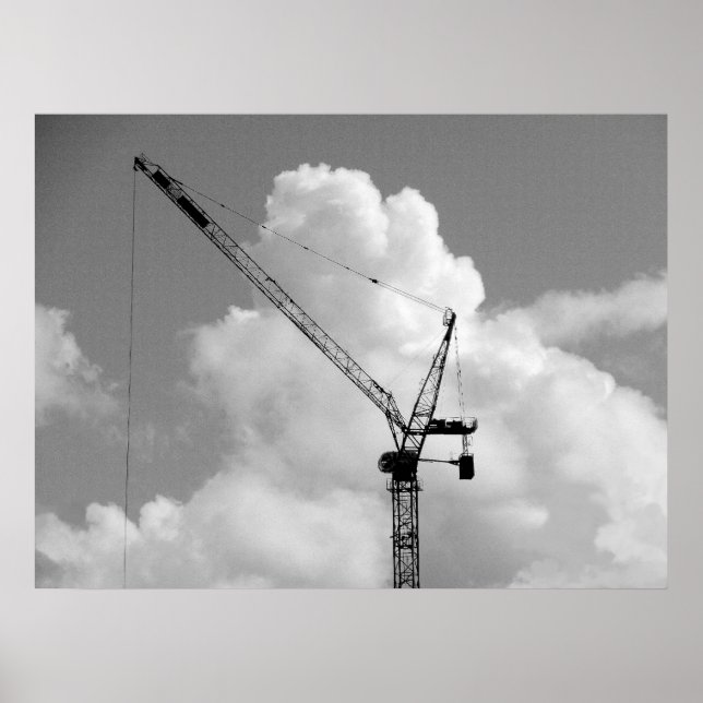 Cumulonimbus Crane - Black and White Poster (Framsidan)