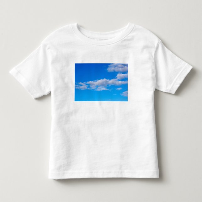 cumulusmoln över västra Antarktis T Shirt (Framsida)