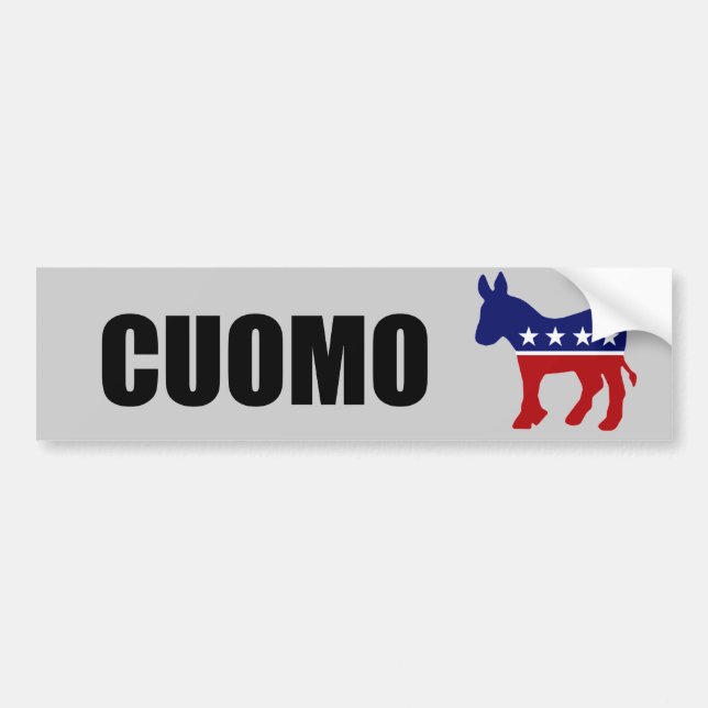 CUOMO 2010 BILDEKAL (Framsidan)