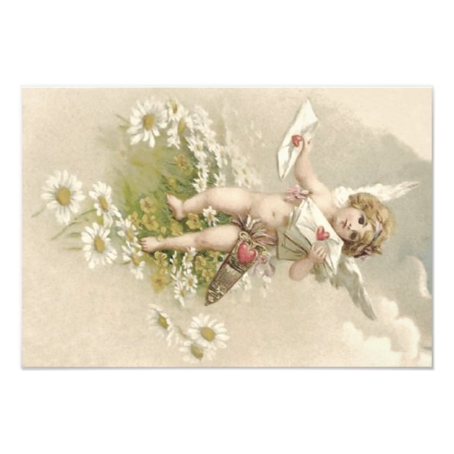 Cupid Cherub Angel Valentine Daisy Fototryck (Framsidan)