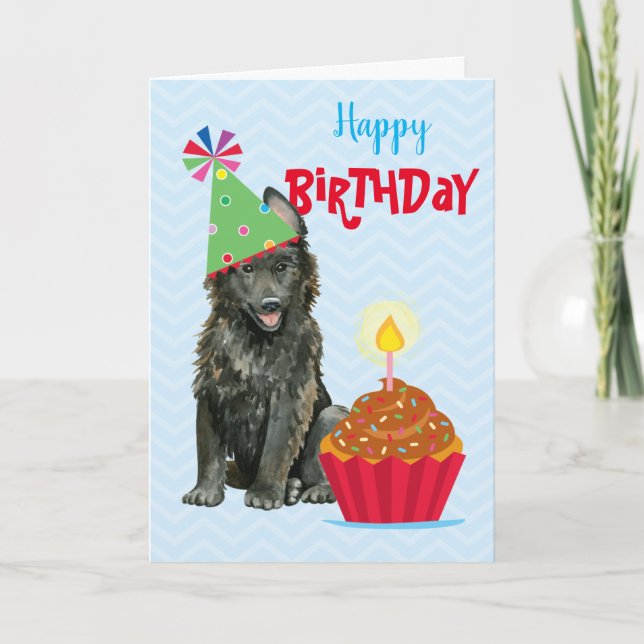 Cupkaka belgiskt fårhundskort kort (Framsida)