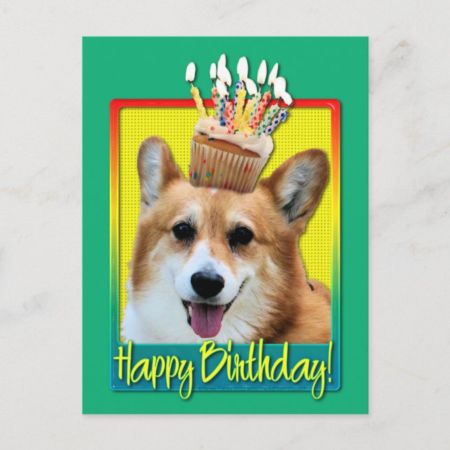 Cupkaka från födelsedagen - Corgi - Owen Vykort (Framsida)