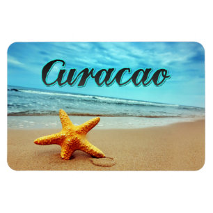 Curacao stjärnfisk magnet