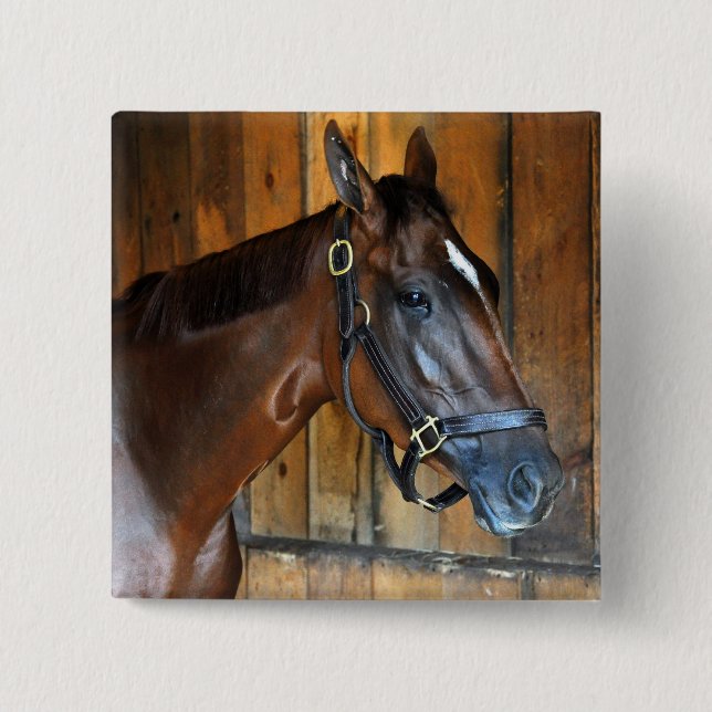 Curalina Knapp (Framsida)