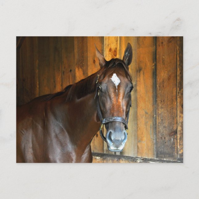 Curalina Vykort (Framsida)