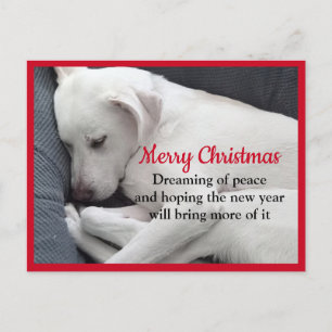 Cure Peacval Sleeping White Puppy Hund Jul Vykort