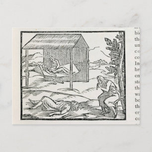 Curing the Sick, Natives of Hispaniola Vykort