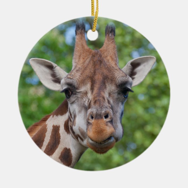Curios Giraffe Julgransprydnad Keramik (Framsidan)
