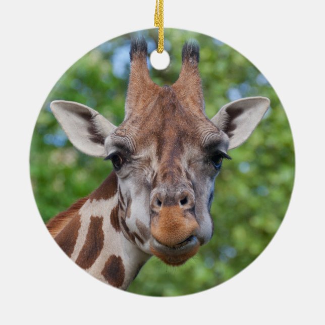 Curios Giraffe Julgransprydnad Keramik (Baksidan)