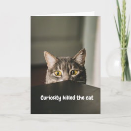 Curiositet dödade katten kort