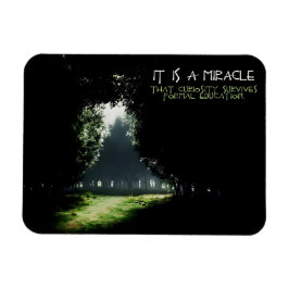 "Curiositet" inspirationsoffert flexibel Magnet