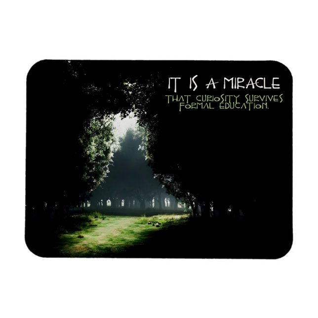 "Curiositet" inspirationsoffert flexibel Magnet (Horisontell)