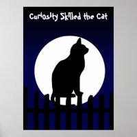 Curiositet skickad till katt