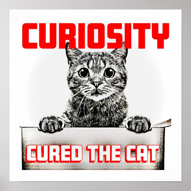 Curiosity Cured the Cat Poster (Framsidan)