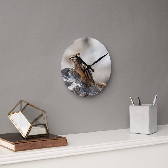 Curious Brown Chipmunk in Alberta Rund Klocka (Kontor)