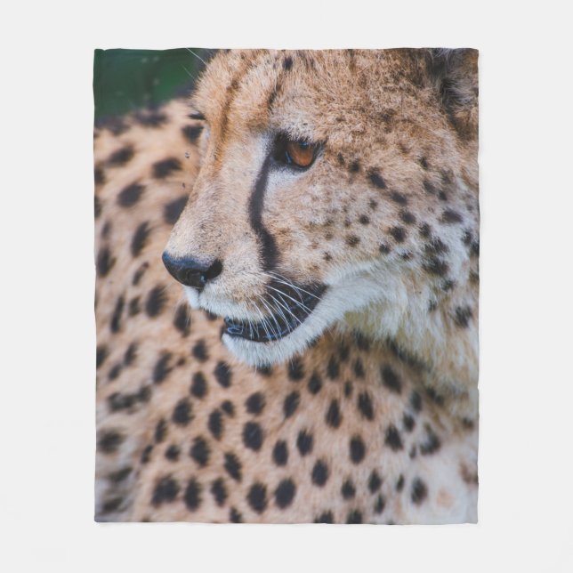 CURIOUS CHEETAH FLEECEFILT (Framsidan)