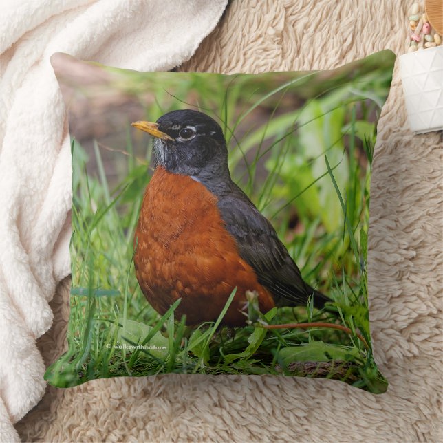 CuriousAmerican Robin Songbird i Grass Kudde (Filt)