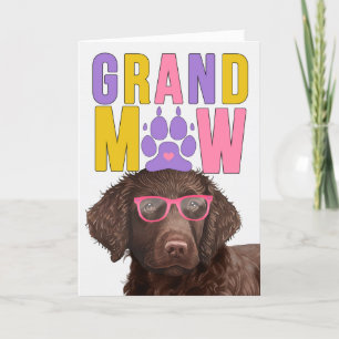 CurJackat Retriever Hund Funny Grandparent Day Helgkort